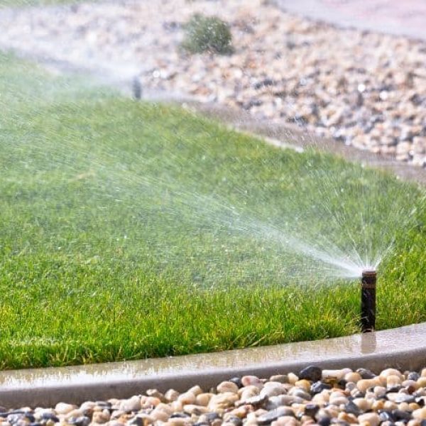 hidalgo-sprinkler-1