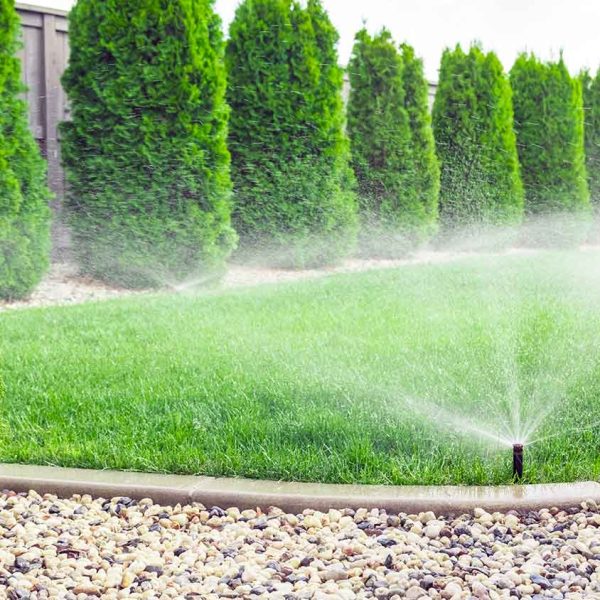 hidalgo-sprinkler-2